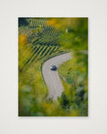 Through the Vines
